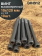Винт высокопрочный НР М10х120 мм к.п.12.9 черный DIN912, 10 шт.