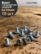 Винт с полукруглой головкой М6х10 ОЦ DIN7985, 10 шт.