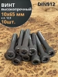 Винт высокопрочный НР М10х65 мм к.п.12.9 черный DIN912, 10 шт.