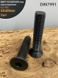 Винт потайной под шестигранник 20х80 DIN7991 к.п.10.9, 2шт