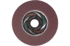 Круг лепестковый плоский A 120 КЛТ1 Луга