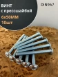 Винт с прессшайбой М6х50 полукруглая головка DIN967, 10 шт.