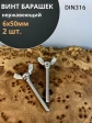 Винт-барашек М6х50 мм ,нержавеющая сталь DIN 316 (2 шт.)