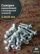 Саморез нержавеющий полукруглая гол. 2,9х16 DIN7981 , 20 шт.