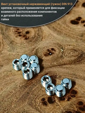 Винт установочный нержавеющий 3х5 DIN913 (гужон) фото 4