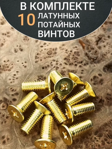Винт 8х20 латунный потайной DIN965,10 шт фото 4