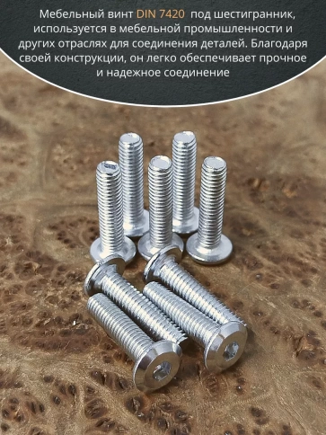 Винт мебельный 6х30 плоский под шестигранник DIN7420,20 шт фото 4