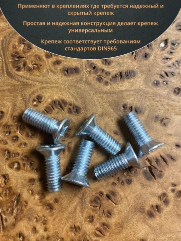 Винт потайной оцинкованный 6х20 DIN965 фото 4