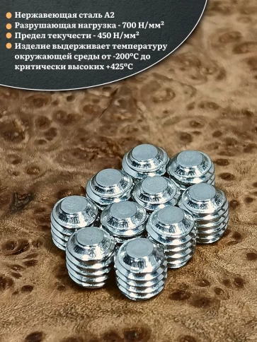 Винт установочный нержавеющий 4х5 DIN913 (гужон) фото 3