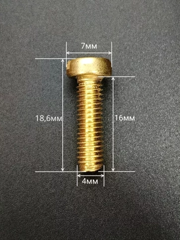 Винт 4х16 латунный с цилиндрической головкой DIN84,10 шт фото 2