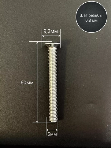 Винт потайной оцинкованный 5х60 DIN965, 10 шт. фото 2