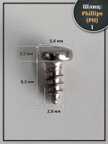 Саморез нержавеющий полукруглая гол. 2,9х9,5 DIN7981 ,20 шт. фото 2