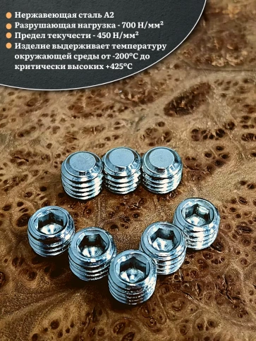 Винт установочный нержавеющий 12х10 DIN913 (гужон) фото 3