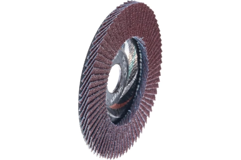 Круг лепестковый плоский 150х22 мм A 100 КЛТ1 Луга фото 1