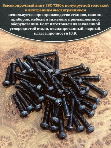 Винт чёрный 5х25 ISO 7380 под шестигранник к.п.10.9 фото 17